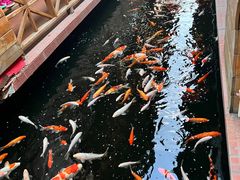 -侠成水上农庄(工业大道店)