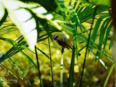 -苏州河梦清园环保主题公园