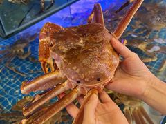 -驻海渔市(置信店)