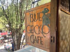 -蓝壁虎咖啡酒馆