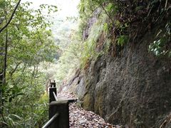 -旗山国家森林公园