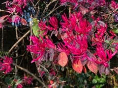 -贵阳市花溪国家城市湿地公园