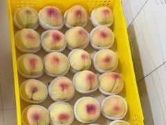 -老袁家蜜桃农场·阳山水蜜桃