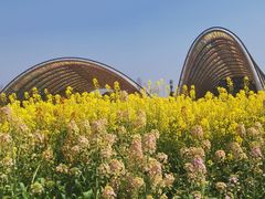 -中国天府农业博览园