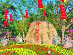 -野狸岛
