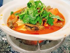 -张关合渣(航空大道店)