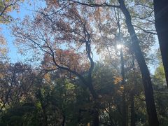 -杭州烂苹果乐园