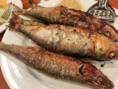 -小飞象葡国餐