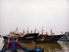 -温岭石塘海边