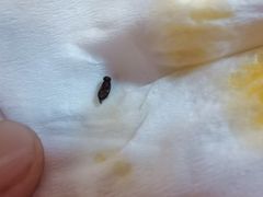 -太原面食店(解放路店)