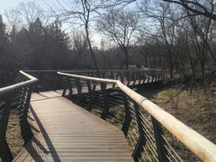 -白水寺森林公园