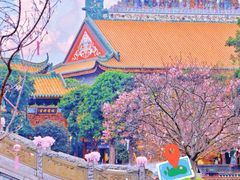 -宝墨园景区