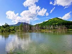 -洮儿河国家湿地公园