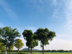 -游子山休闲旅游区