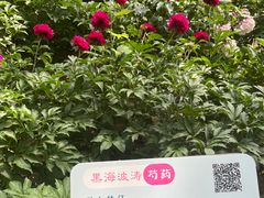 -仁和公园(顺义区)