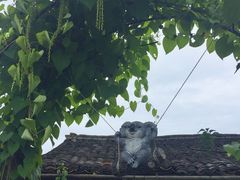 -乌石村