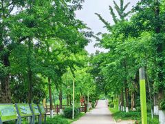 -白鹭湾湿地公园