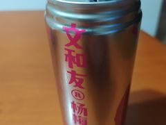 -文和友老长沙臭豆腐(太平街二店)