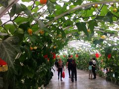 -兴芮温泉度假区