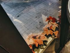 -LES ELITES 英集荟(南京西路店)