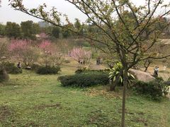 -秀丽东方