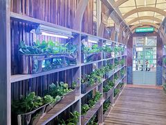 -Ohkajhu Organic Farm Sansai