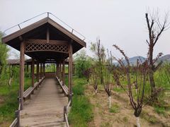 -玉龙沙湖景区