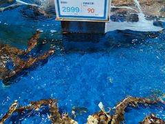 -盒马鲜生(首义店)