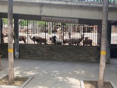 -石家庄市动物园