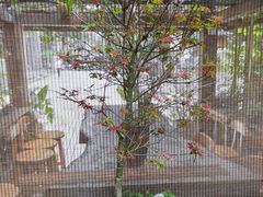 -菩提书坊(侨福大厦店)