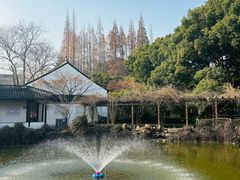 -上海醉白池公园