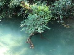 -贵阳市花溪国家城市湿地公园