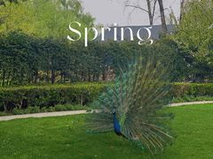 -J Create城市露营咖啡·简餐·宠物(上海动物园店)