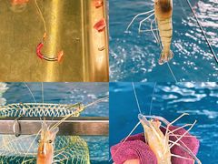 -SHRIMP CLUB万东餐饮钓虾·清吧