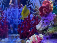 -秦皇岛新澳海底世界