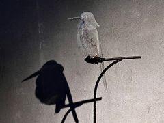 -元白和创园展厅