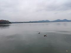 -西湖游船