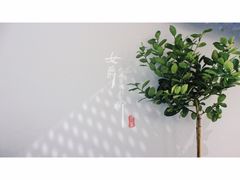 大堂-双风车咖啡馆 Twin Windmills(六道口店)