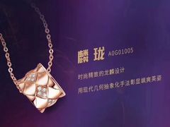 -翠微百货(龙德店)