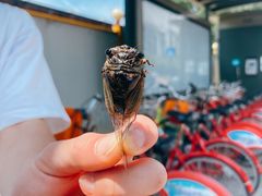 -杭州陶瓷品市场·景青陶瓷有限公司