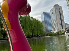 -团结湖公园