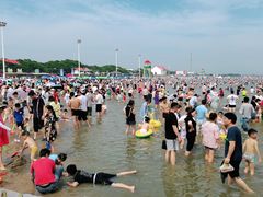 -碧海金沙