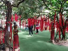-呀路古热带植物园