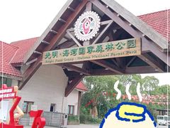 -上海海湾国家森林公园