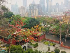 -小洲村