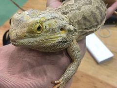 -藦茜花园宠物主题亲子互动体验馆(国顺东路店)