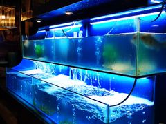 水产区-芭菲盛宴·环球美食(解放碑英利国际店)