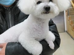 -宠福鑫康馨动物医院·骨科·眼科