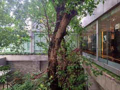 -白云宾馆·白云宴餐厅