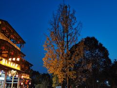 -张醪糟(街子店)